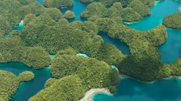 Bovenaanzicht Groen Regenwoud Turkoois Zeewater Lagune Surigao Del Norte Mindanao — Stockvideo