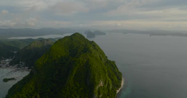 Survoler Montagne Nido Avec Des Plantes Verdoyantes Des Arbres Palawan — Video