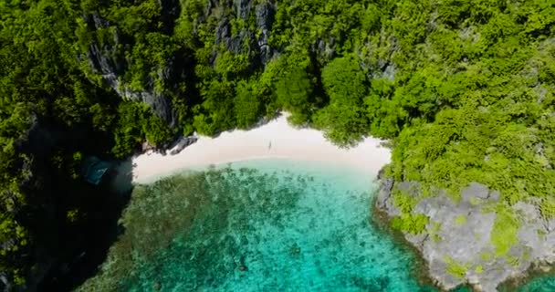 ターコイズ海水の上にボート セレニティビーチの白砂浜 ニード パラワン フィリピン — ストック動画