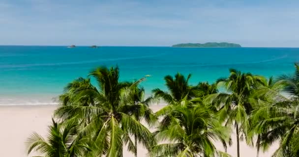 Fliegen Über Die Palmen Nacpan Beach Meereswellen Sandiger Küste Nido — Stockvideo