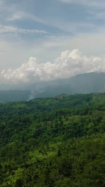 Τροπικό Βουνό Πλούσια Βλάστηση Και Καταπράσινο Δάσος Μπλε Ουρανός Και — Αρχείο Βίντεο