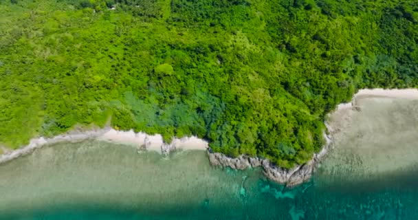 Turkuaz Deniz Suyuyla Sahilin Üst Manzarası Filipinler Deki Cagbuli Adası — Stok video