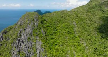 Muhteşem kireçtaşı kayaları olan bir ada. Mavi denizli Cadlao Adası. El Nido. Palawan, Filipinler.