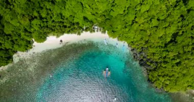 Pasandigan Koyu 'nda bir grup tekne. Yeşil deniz suyunun üzerindeki güneş yansıması. Cadlao Adası. El Nido. Palawan, Filipinler.