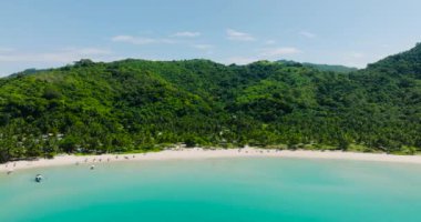 Hindistan cevizi palmiyeli beyaz kumlu plaj. Filipinler 'deki Diapela Sahili. El Nido, Palawan.