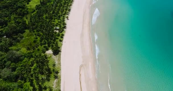 Hindistan Cevizi Palmiyeleri Nacpan Sahili Ndeki Beyaz Kumsal Nido Palawan — Stok video
