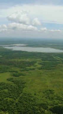 Agusan Bataklığı Vahşi Yaşam Sığınağı Filipinler 'de korunan bir bölge. Mindanao. Yukarıdan bak. Dikey görünüm.