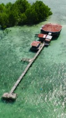 Mangrov ve mercanlı turkuaz su. Kaybolan Ada. Samal, Davao. Filipinler. Dikey görünüm.