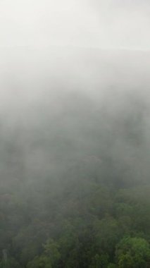 Bulutlar ve sisle kaplı tropik bir dağ. Mindanao, Filipinler. Dikey görünüm.