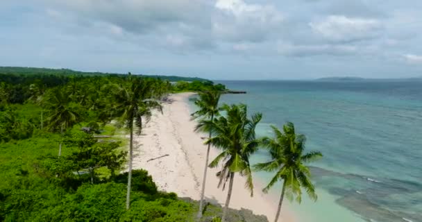 Vista Blanca Playa Través Palmeras Isla Carabao Romblon Filipinas — Vídeos de Stock