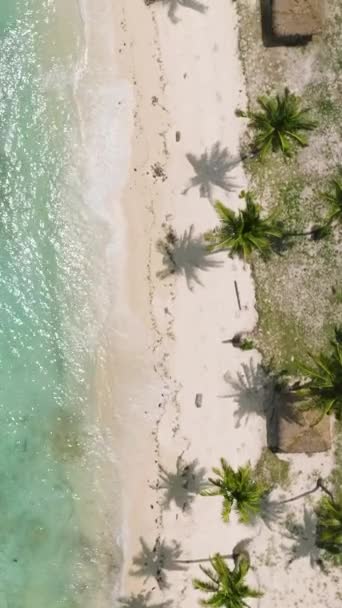 Вид Зверху Тропічний Пляж Океанськими Хвилями Сонячне Світло Відбивається Над — стокове відео