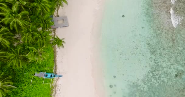 カラバオ島の砂浜にあるココナッツの木のドローンビュー サンノゼ ロムブロン フィリピン — ストック動画