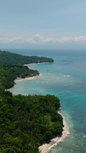 Paysage Tropical Avec Vagues Océaniques Vagues Éclaboussant Rivage Samal Davao — Video