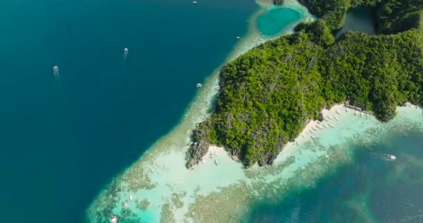 Mavi Denizde Yüzen Palawan Coron Daki Banul Sahili Yakınlarında Yüzen — Stok video