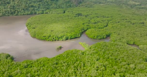 Zonas Húmidas Costeiras Com Manguezais Barco Correr Sobre Água Castanha — Vídeo de Stock