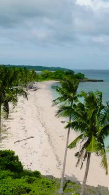 Carabao Adası 'ndaki palmiye ağaçlarının arasından beyaz sahil manzarası. Romblon. Filipinler. Dikey görünüm.