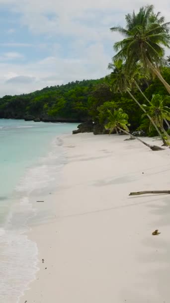 Wyspa Carabao Białymi Plażami Romblon Filipiny Koncepcja Podróży Widok Pionowy — Wideo stockowe
