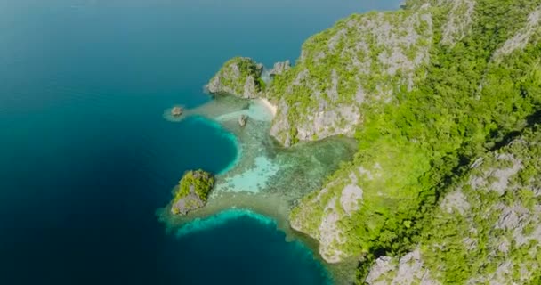 Mavi Deniz Palawan Coron Daki Calachuchi Sahili Filipinler — Stok video