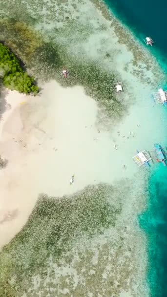 緑の植物と砂浜で美しい島々 パラワン州コロンにあるCycビーチ フィリピン 垂直ビュー — ストック動画