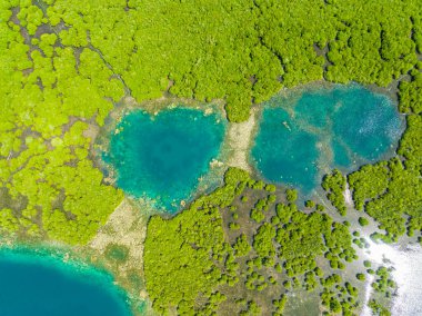 Güzel göl ve mangrovların hava araştırması. Mindanao, Filipinler.
