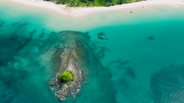 Nacpan Sahili Nde Turkuaz Uzun Kumlu Plaj Temizliği Nido Palawan — Stok video
