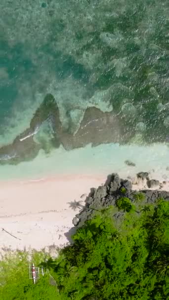 珊瑚和清澈的海滩水 卡拉巴岛 Romblon 菲律宾 纵向观点 — 图库视频影像