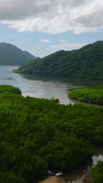 Terbang Atas Taman Mangrove Bintuan Langit Biru Dan Awan Coron — Stok Video