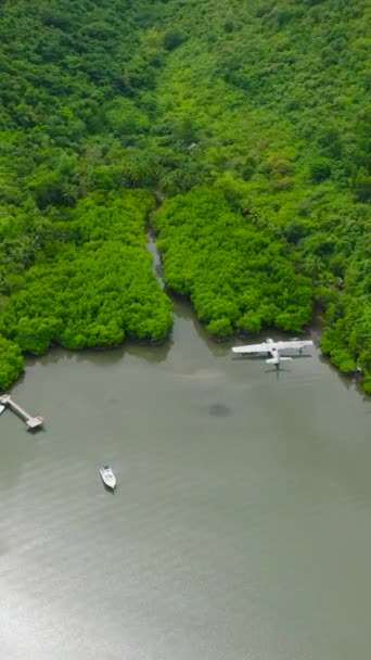 Concepcion Busuanga Terk Edilmiş Uçak Enkazı Mangrovların Hava Manzarası Palawan — Stok video