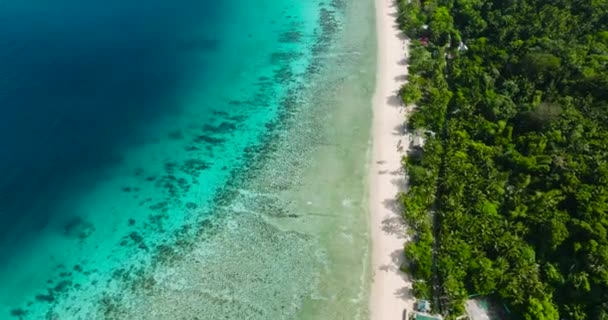 Beyaz Kumlu Sahil Şeridi Hindistan Cevizi Ağaçları Logbon Adası Romblon — Stok video
