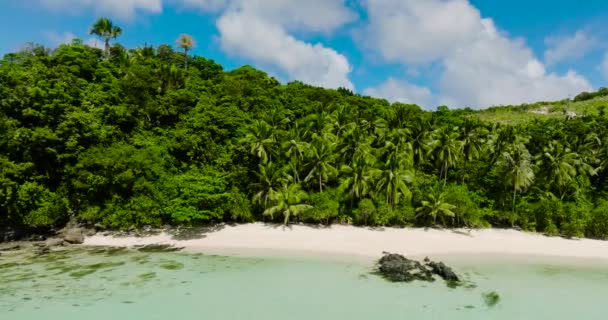 Kumlu Sahil Hindistan Cevizi Ağaçları Olan Kıyı Bölgesi Mavi Gökyüzü — Stok video