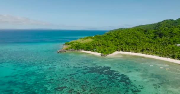 Transparent Turkost Havsvatten Med Koraller Cobrador Island Romblon Filippinerna — Stockvideo