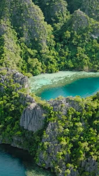 Tropisch Eiland Met Boot Lagunes Kronen Palawan Filippijnen Verticaal Overzicht — Stockvideo