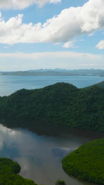 Wyspa Sangat Bintuan Mangrove Park Niebieskie Niebo Chmury Coron Palawan — Wideo stockowe