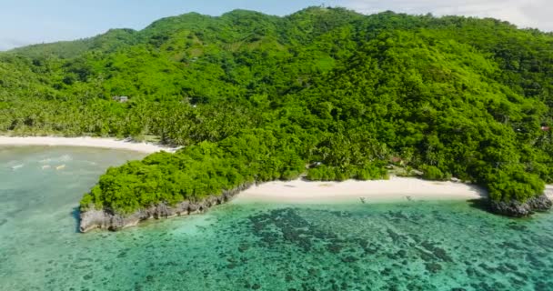 Genomskinligt Havsvatten Och Koraller Cobrador Island Vit Strand Romblon Filippinerna — Stockvideo