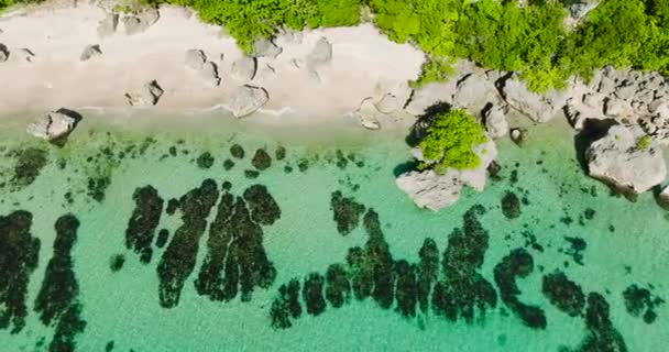Wyspa Carabao Kamieniami Nad Białym Piaskiem Fale Oceaniczne Zielona Woda — Wideo stockowe