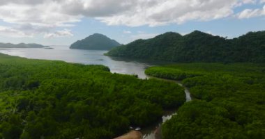 Bintuan Mangrove Parkı 'nın üzerinde uçuyor. Mavi gökyüzü ve bulutlar. Coron, Palawan. Filipinler.