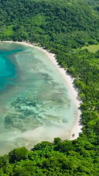 Прозрачная Вода Кораллами Песчаный Пляж Эль Нидо Палаван Филиппины Вертикальный — стоковое видео