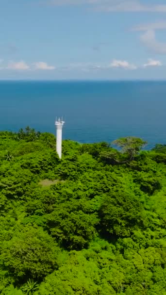 Башня Посреди Леса Острове Кагбули Эль Нидо Палаван Филиппины Вертикальный — стоковое видео