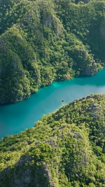 カヤンガン湖 水中岩層 イズレットが存在する コロン パラワン フィリピン 垂直ビュー — ストック動画