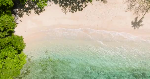 太陽の反射で砂浜に衝突する美しい波 サンペドロビーチリゾート ロムブロン フィリピン — ストック動画