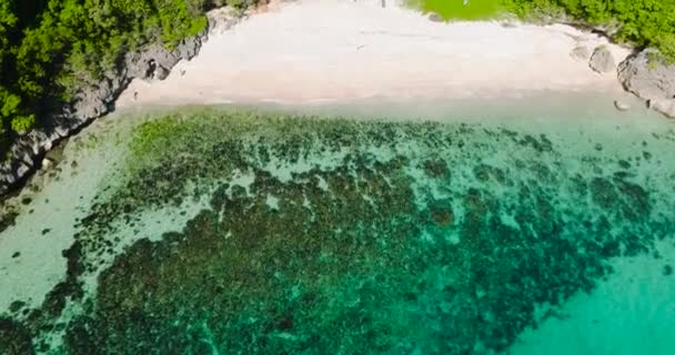 Ωκεάνια Κύματα Λευκή Αμμώδη Παραλία Στο Carabao Island Χοσέ Ρόμπλον — Αρχείο Βίντεο