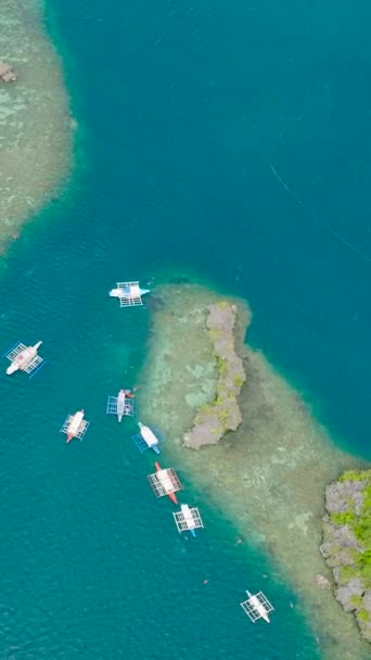 Vista Superior Barcos Siete Pecados Coron Palawan Filipinas Vista Vertical — Vídeo de Stock