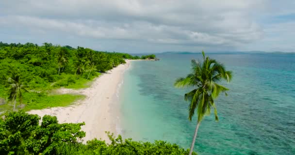 透明な水の波がある熱帯のビーチ ココナッツの木が海岸線に カラバオ島 サンノゼ ロムブロン フィリピン — ストック動画
