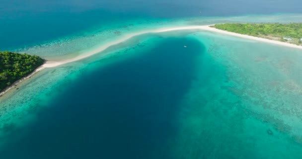 해변에 산호와 바가있는 청록색 깨끗한 롬블론 Romblon 필리핀 — 비디오