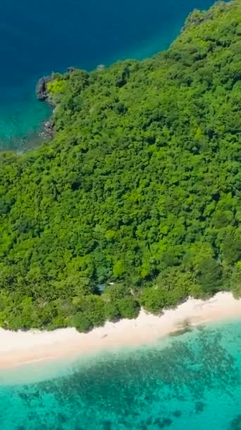 ヘリコプター島のホワイトサンディビーチのドローンビュー ニード パラワン フィリピン 垂直ビュー — ストック動画