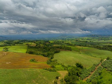 Çeltik pirinç tarlaları ve yeşil ormanın hava araştırması. Bulutların altında tarım arazisi. Mindanao, Filipinler.