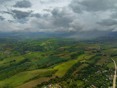 Pirinç tarlaları ve muz tarlaları. Dağdaki çiftçi köyü. Mindanao, Filipinler.