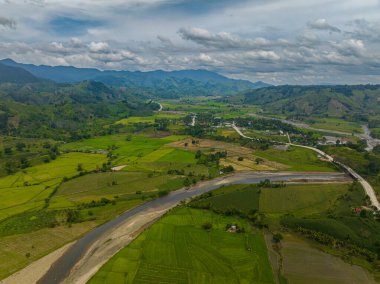 Yeşil dağ, çeltik tarlaları ve nehirlerin üzerinden akan su. Mindanao, Filipinler.