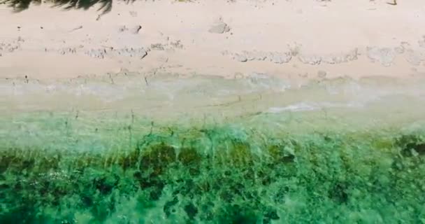 Ondas Oceânicas Esverdeadas Transparentes Sobre Praia Areia Ilha Carabao Romblon — Vídeo de Stock