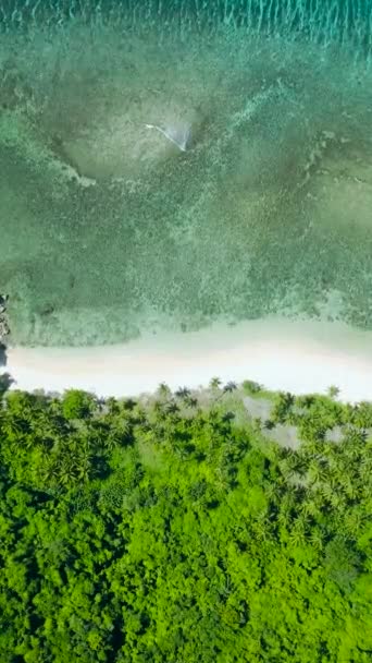 Beyaz Kumlu Sahil Şeffaf Turkuaz Deniz Suyu Mercanlar Nido Palawan — Stok video